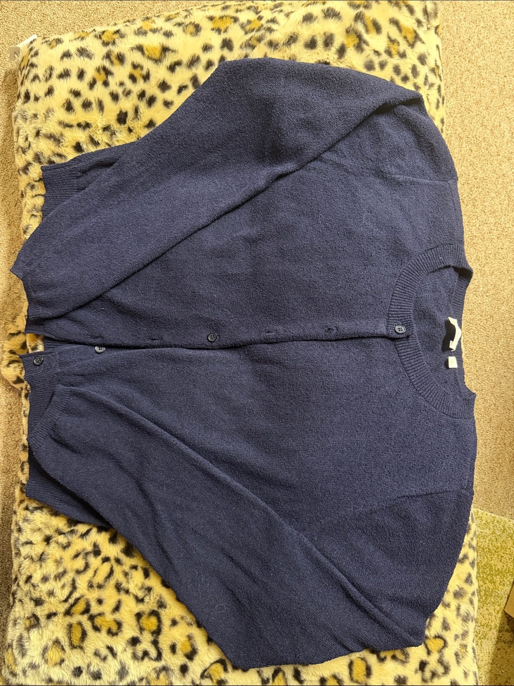 Cyrus Navy Blue Women's Button-Up Cardigan
